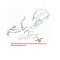 ΑΡΙΣΤΕΡΟ ΑΥΤΟΚΟΛΛΗΤΟ ΜΑΣΚΑΣ GSF 650 BANDIT 2009 - 2010 ΓΙΑ YAY ΜΑΥΡΟ ΑΡΙΣΤΕΡΟ ΑΥΤΟΚΟΛΛΗΤΟ ΜΑΣΚΑΣ GSF 650 BANDIT 2009 - 2010 ΓΙΑ YAY ΜΑΥΡΟ