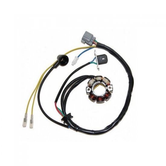 ΠΗΝΕΙΟ ΓΕΝΝΗΤΡΙΑ SUZUKI RM-Z 250 04 - 10 ΠΗΝΕΙΟ ΓΕΝΝΗΤΡΙΑ SUZUKI RM-Z 250 04 - 10