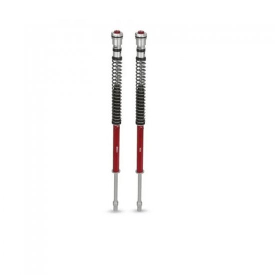 ΦΥΣΙΓΓΙΑ ΠΙΡΟΥΝΙΟΥ KIT YSS YAMAHA T-MAX 530 